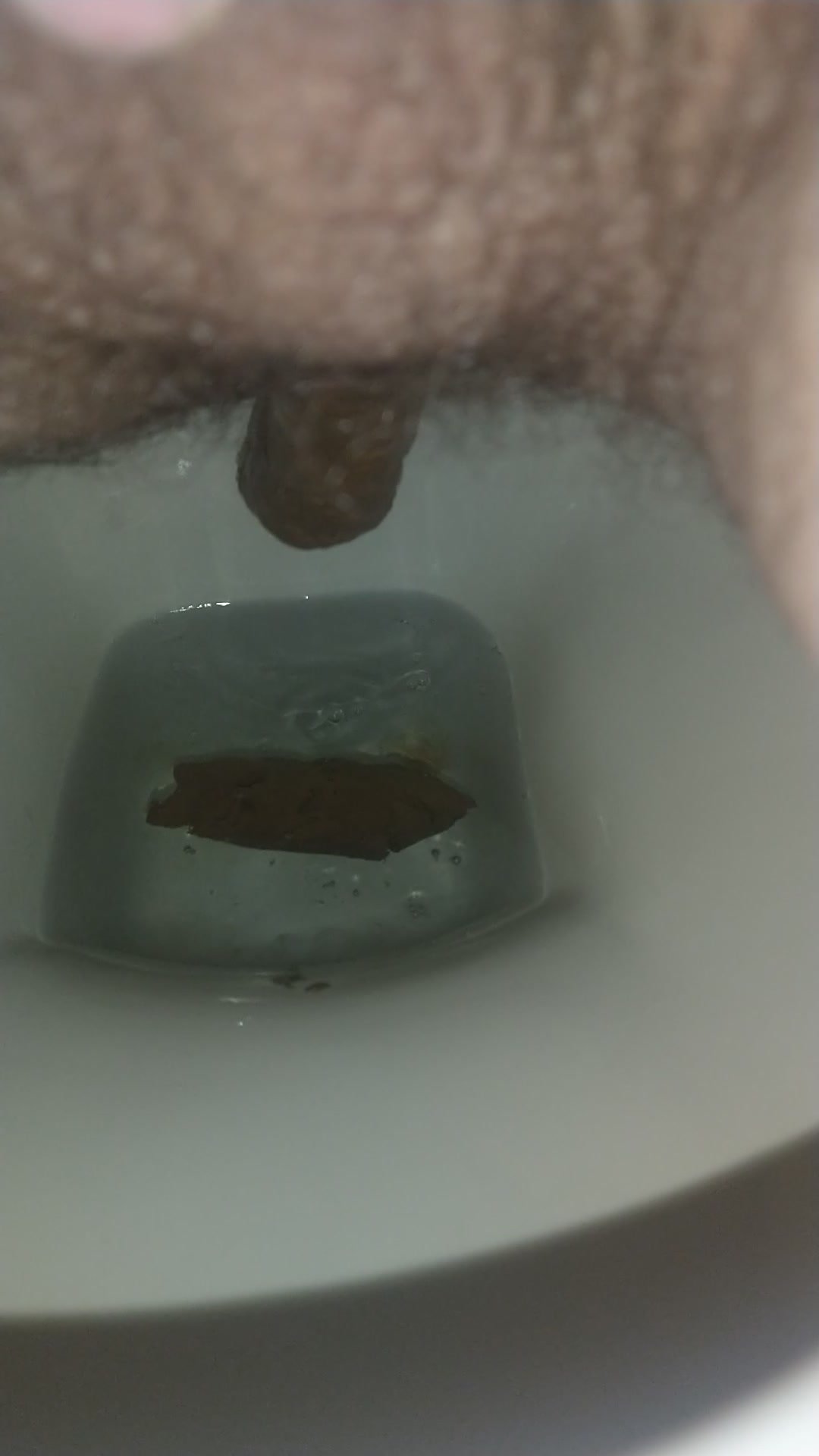 Pooping 10 - video 4
