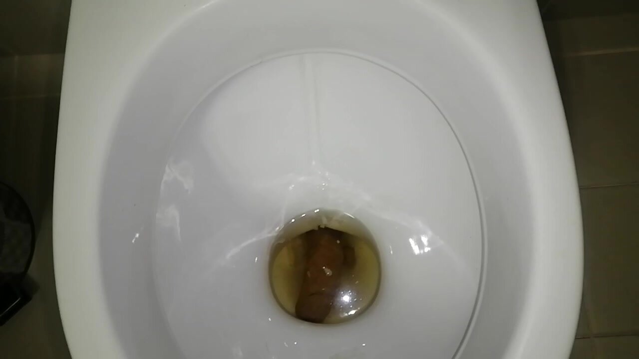 Big turd flushed