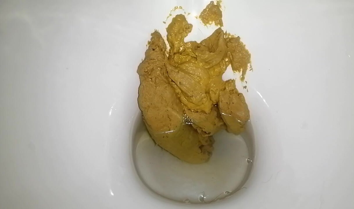 Big turd & soft poo flushed