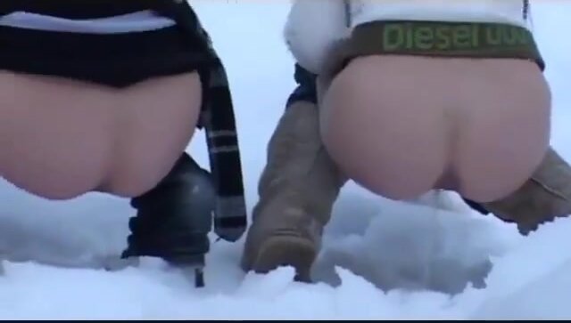 4 asses line up to melt the snow together