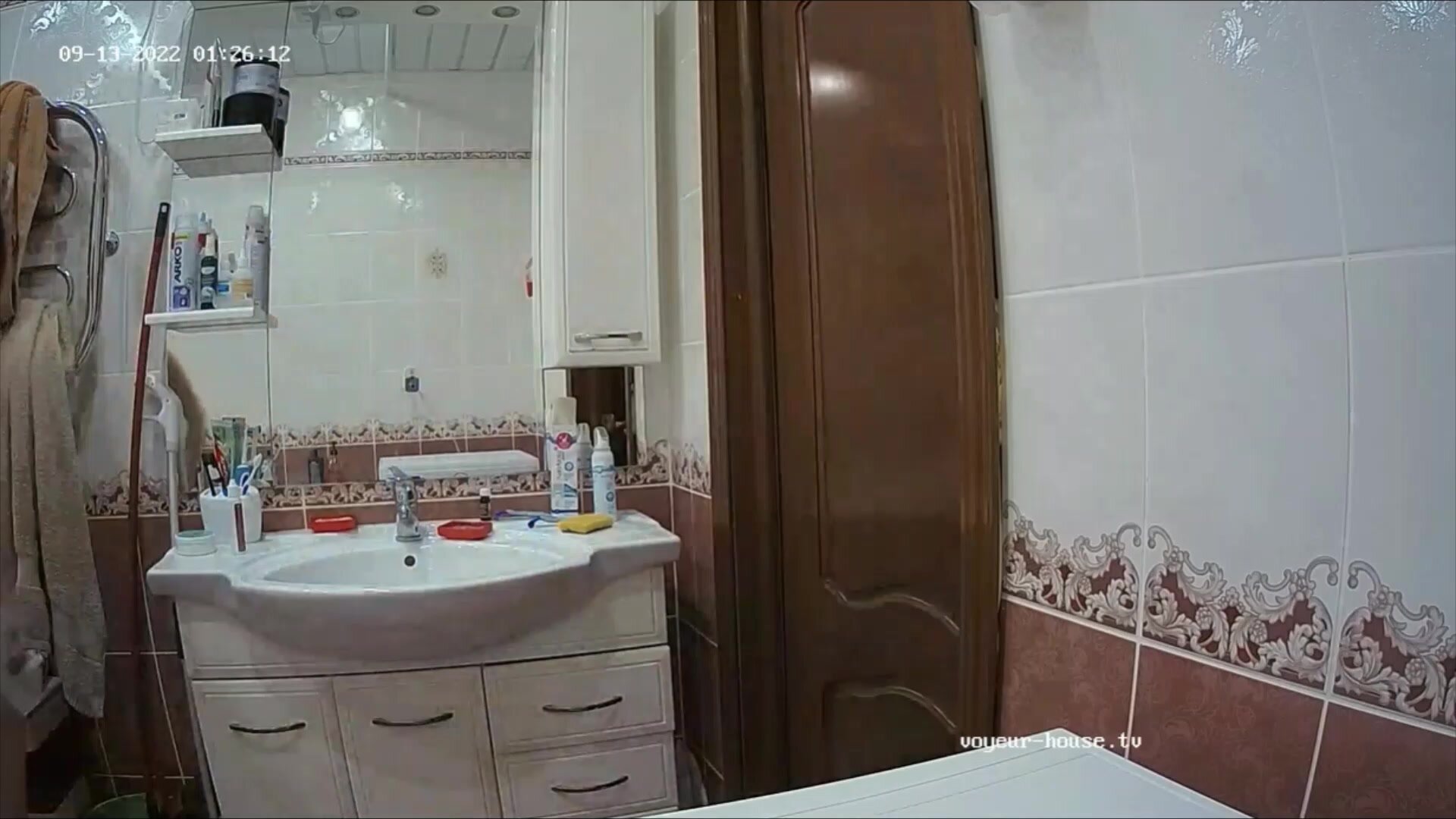 Woman  in Toilet 440