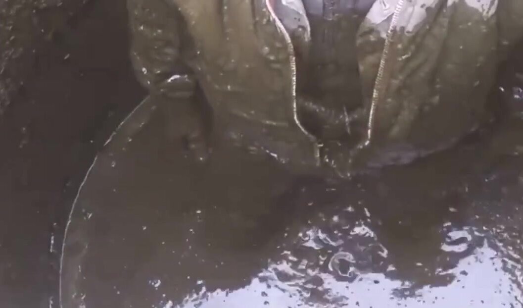 SKINHEAD IN BOMBER GETS FILTHY
