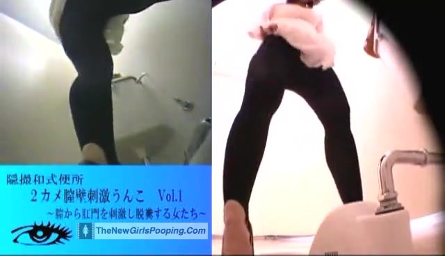 Japanese Ladies Poop Voyeur - video 34