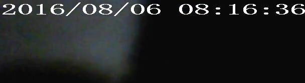 Dutch boys masturbating outside