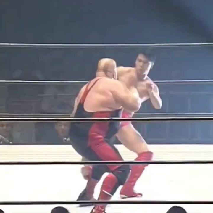 Pro wrestler  vs karateka