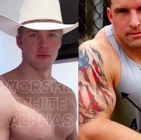 Alpha white compilation