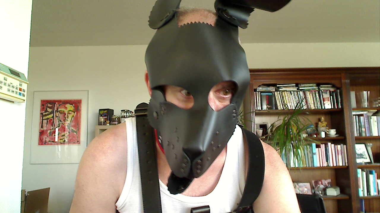 New BAD Puppy in Town !