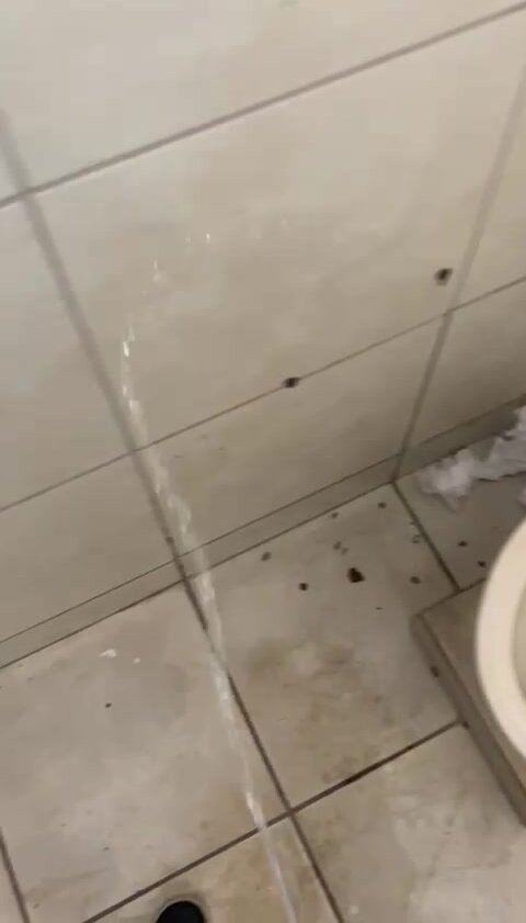 Piss trashing on a dirty bathroom