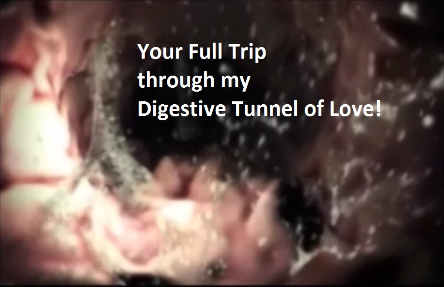 Your Full Trip Through My Digestive Gut of Love