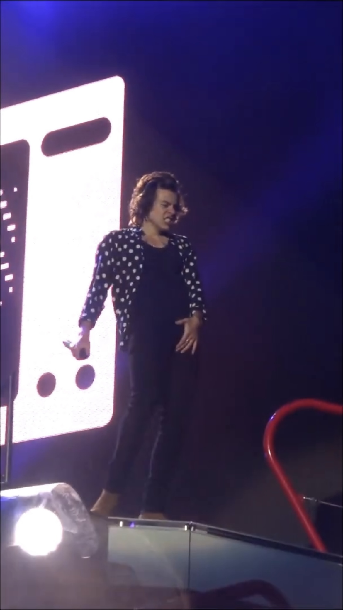 Harry Styles rubbing his bulge during his concert
