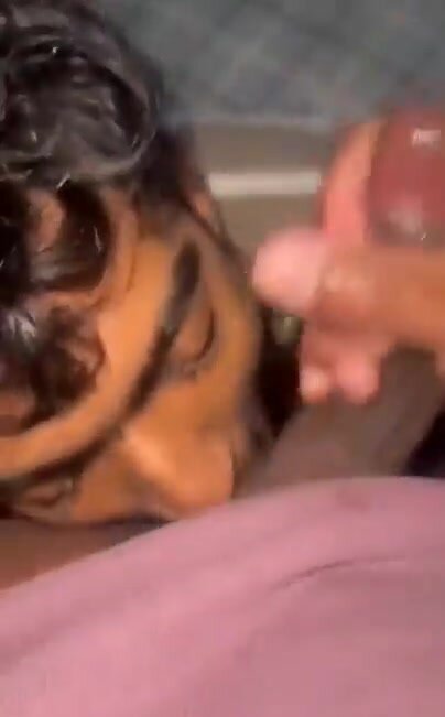 Desi gay blowjob - video 3