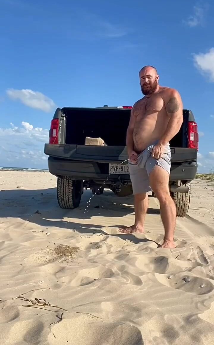 beach bear pissing