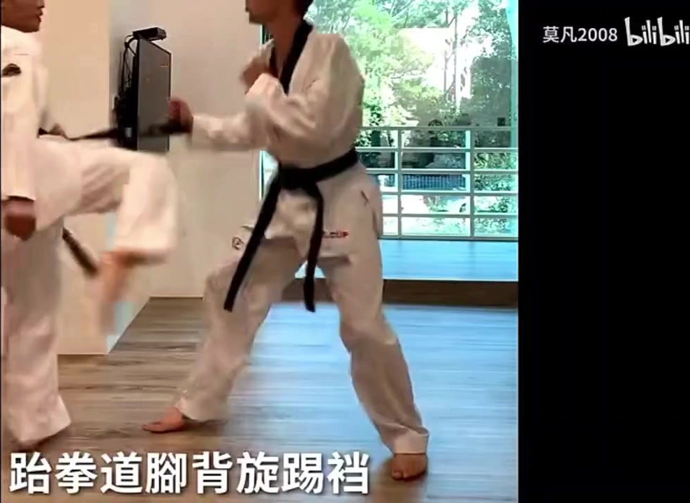 karate kicks