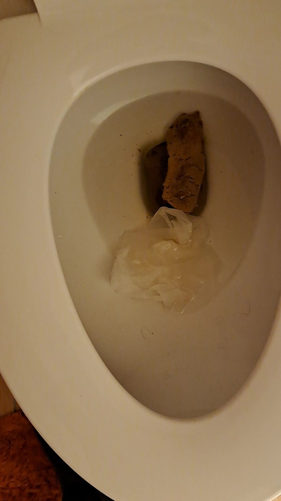 Thick solid poop while standing up flush