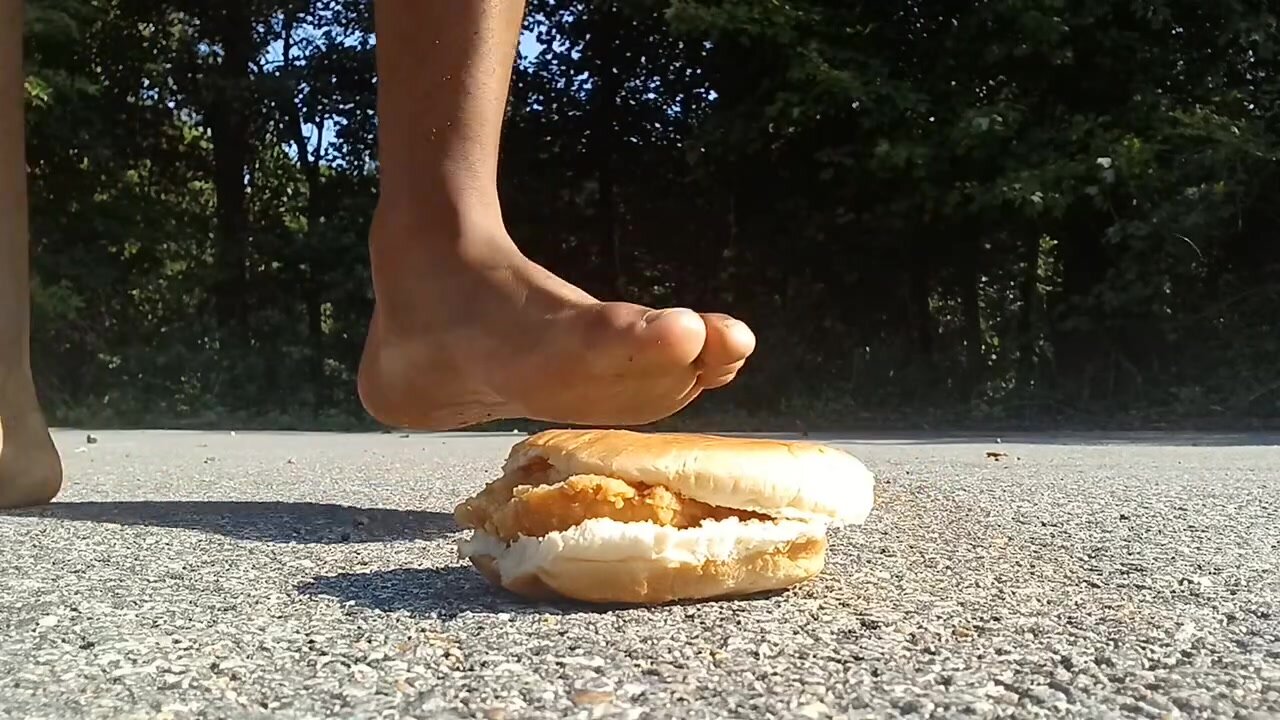 Chicken Sandwich 2