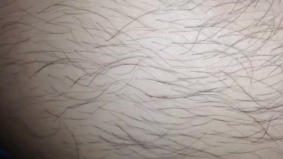 my friend bellybutton