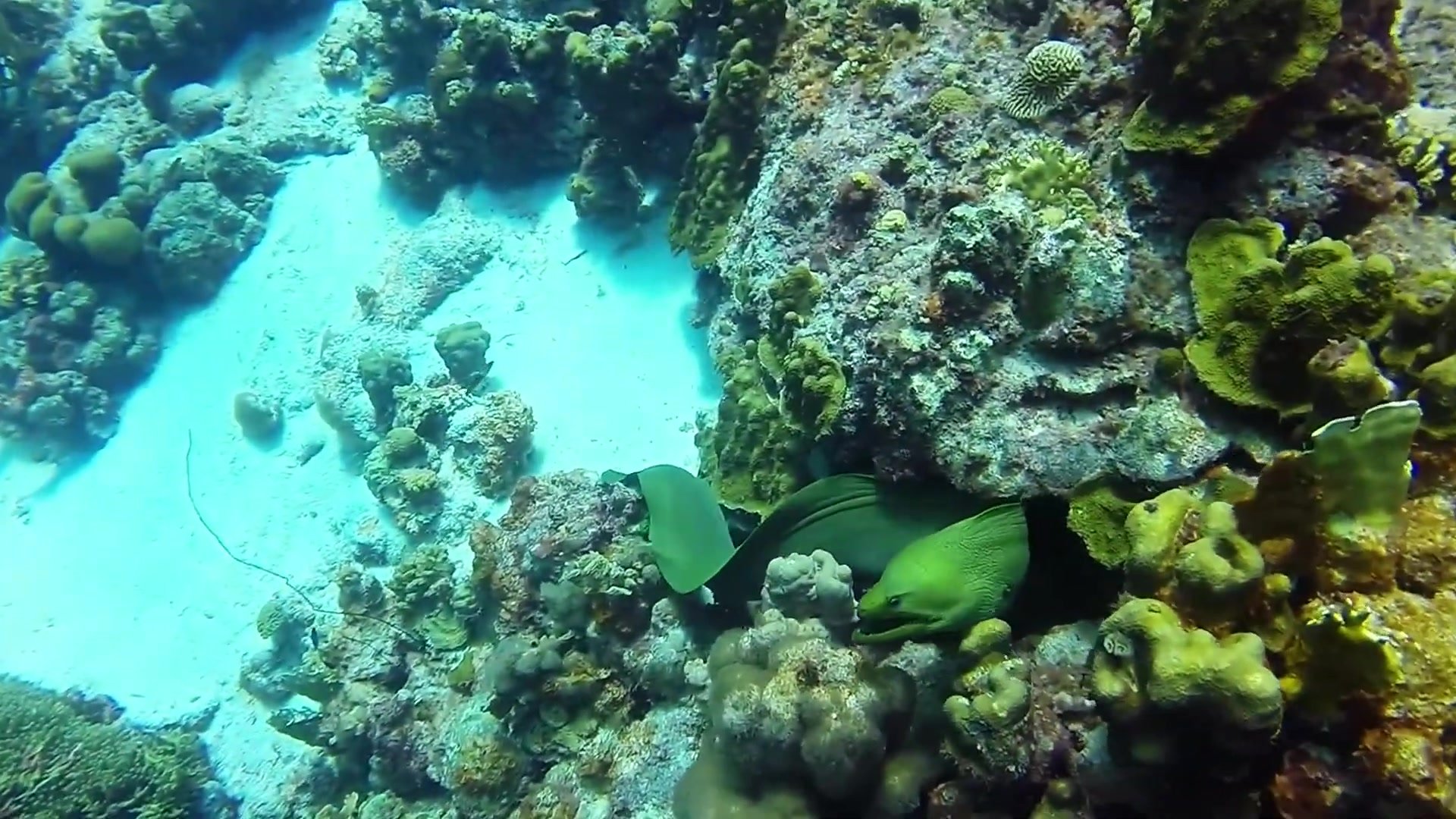 underwater - video 15