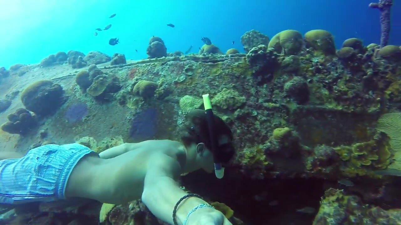 underwater - video 16