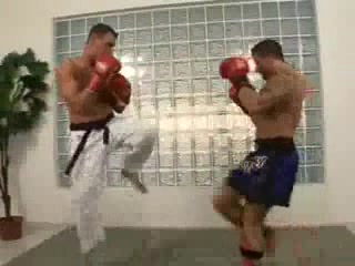 Karate master beat kickboxer