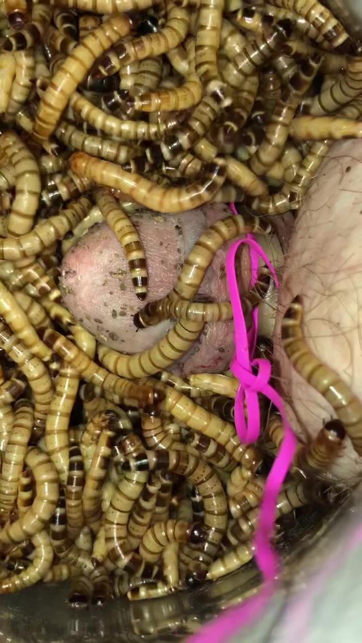 MORE SUPER WORMS