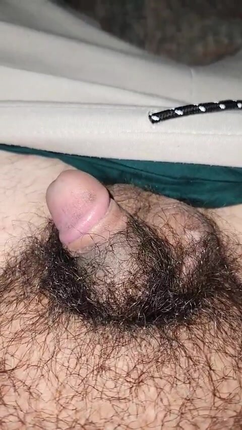 Small unshaved and hairy.. a normal guys dick