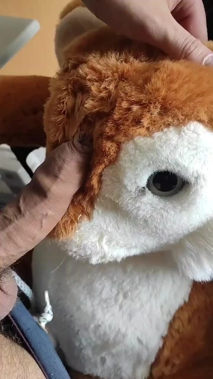 Cum and piss on bunny plush