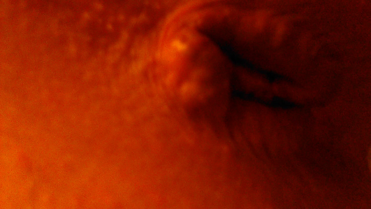 Closeup shit - video 3