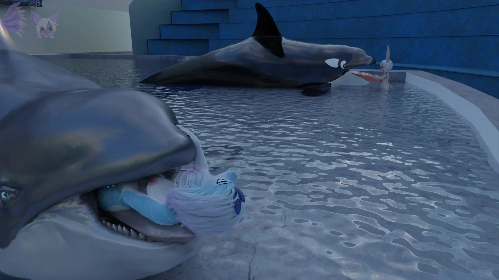 Orca anal vore
