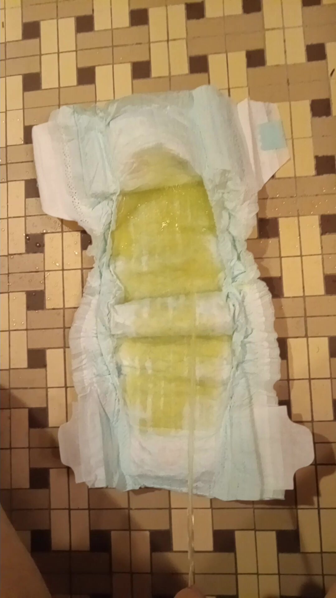 Open Pee In A Size 6 Pampers Baby Dry Diaper