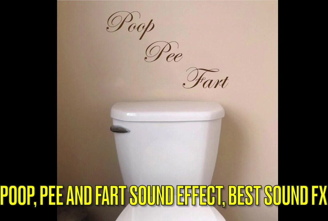 POOP, PEE AND FART SOUND EFFECT, BEST SOUND FX