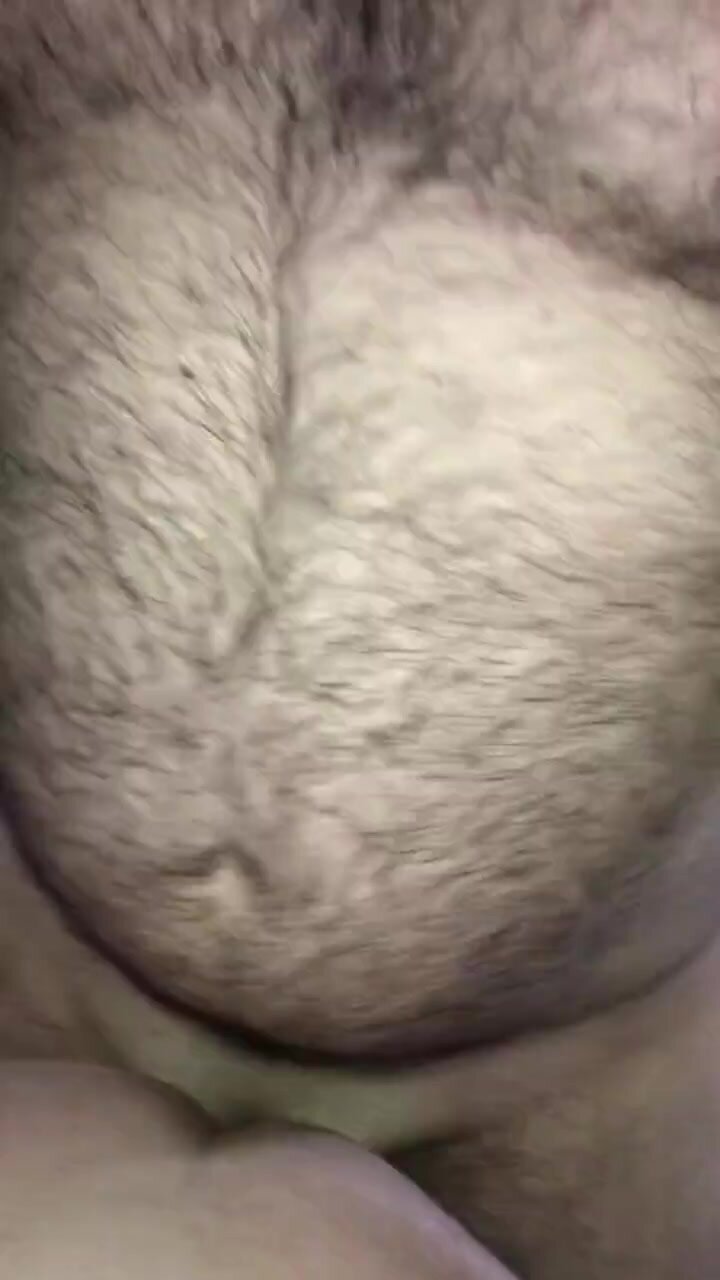 Bear top