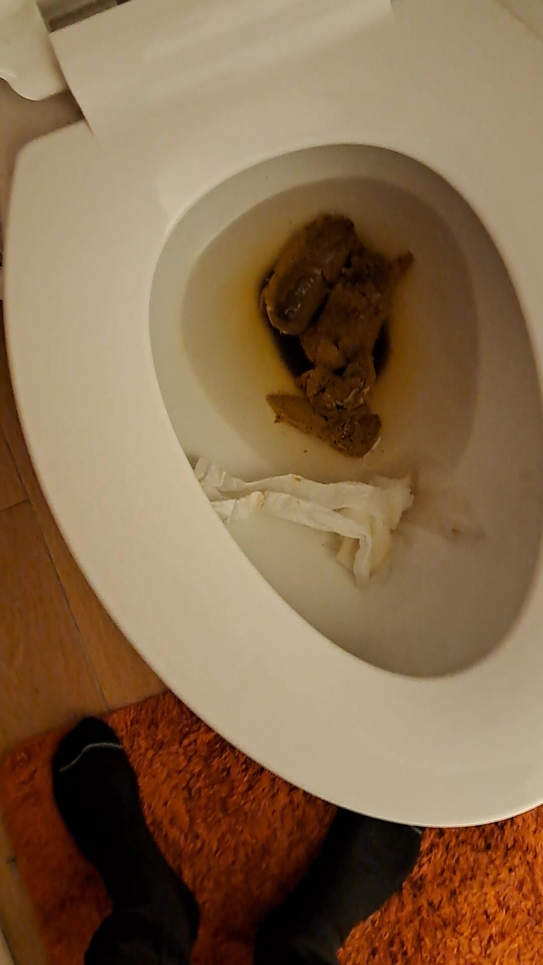 Solid poop from behind flush