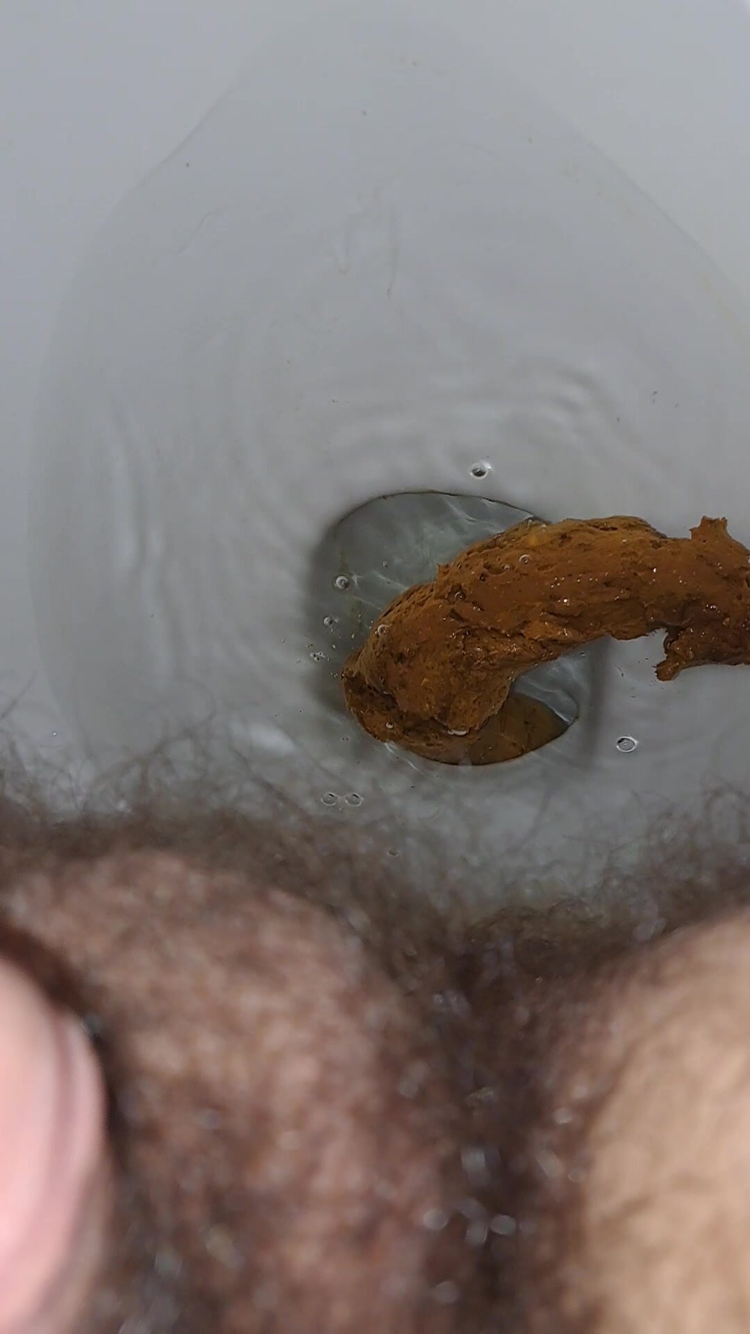 Solid poop with corn