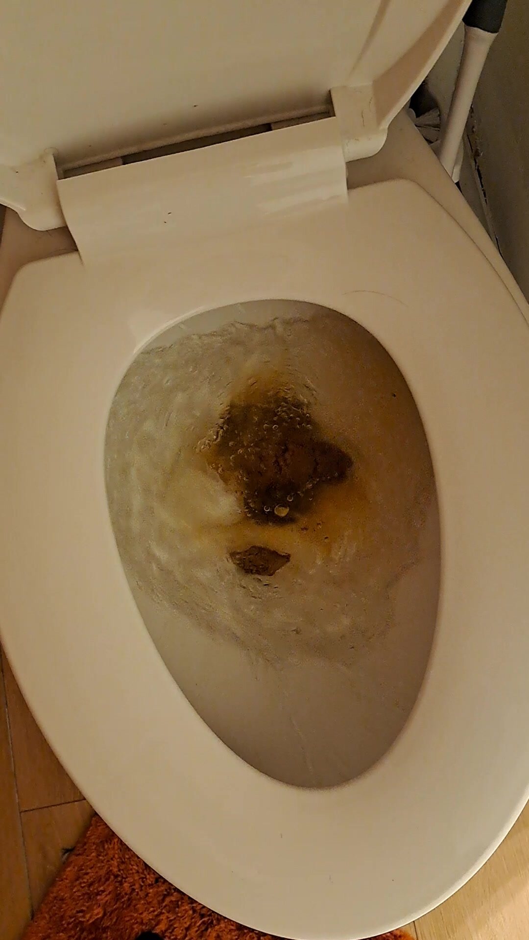 Solid squat poop flush