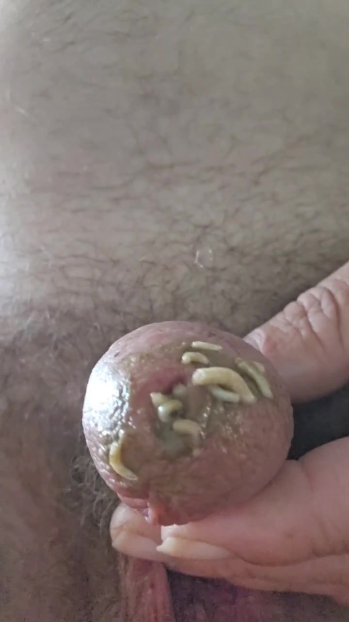 Maggots on and in andys diapered dick 2