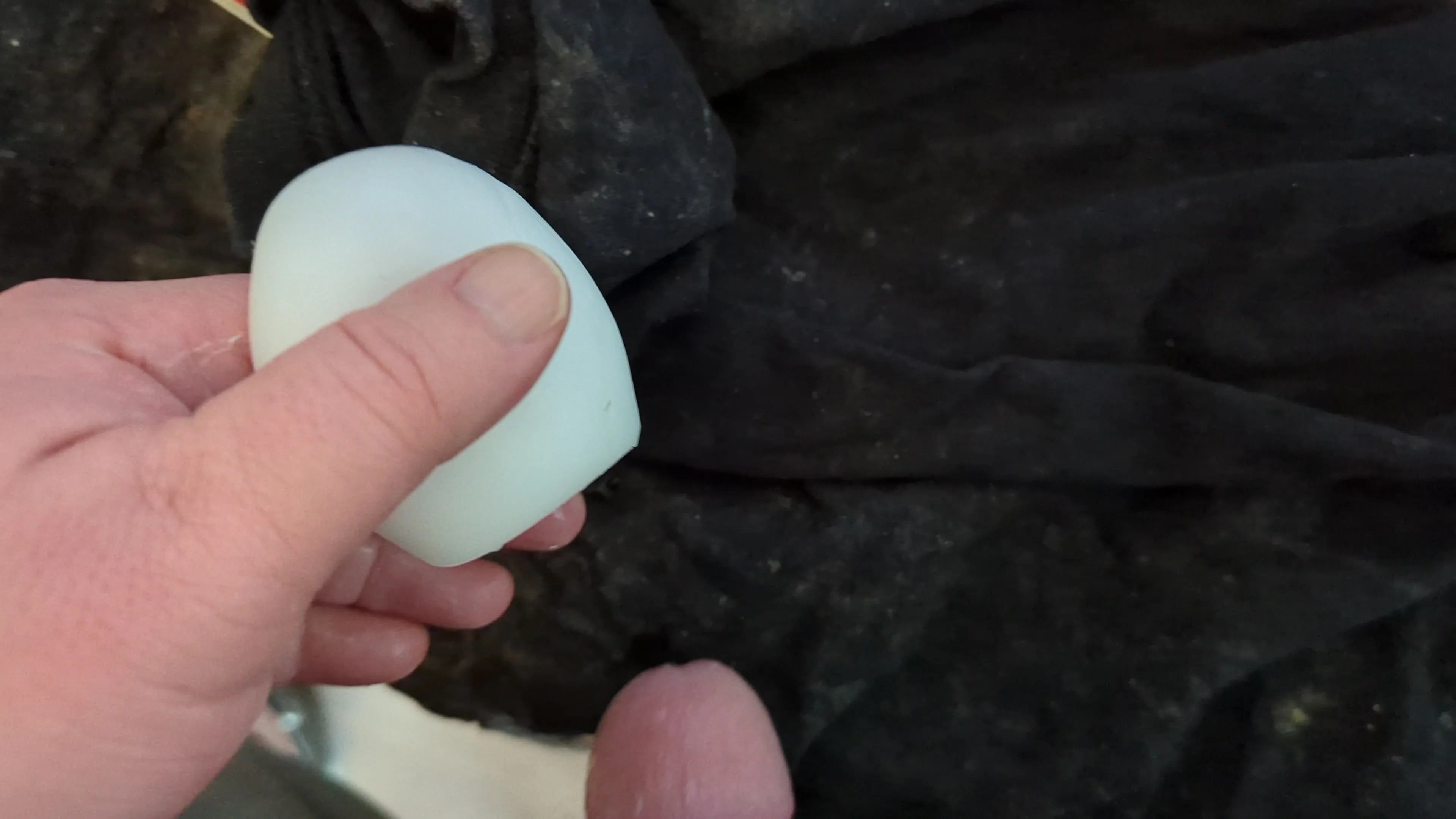 Tenga egg vid