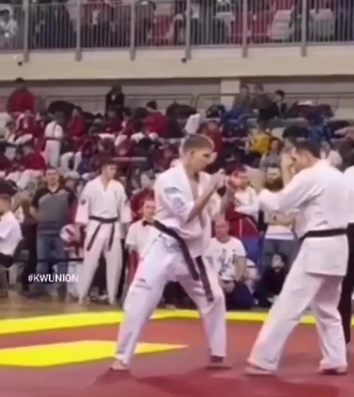 Deadly Kyokushin Karate Feet KO