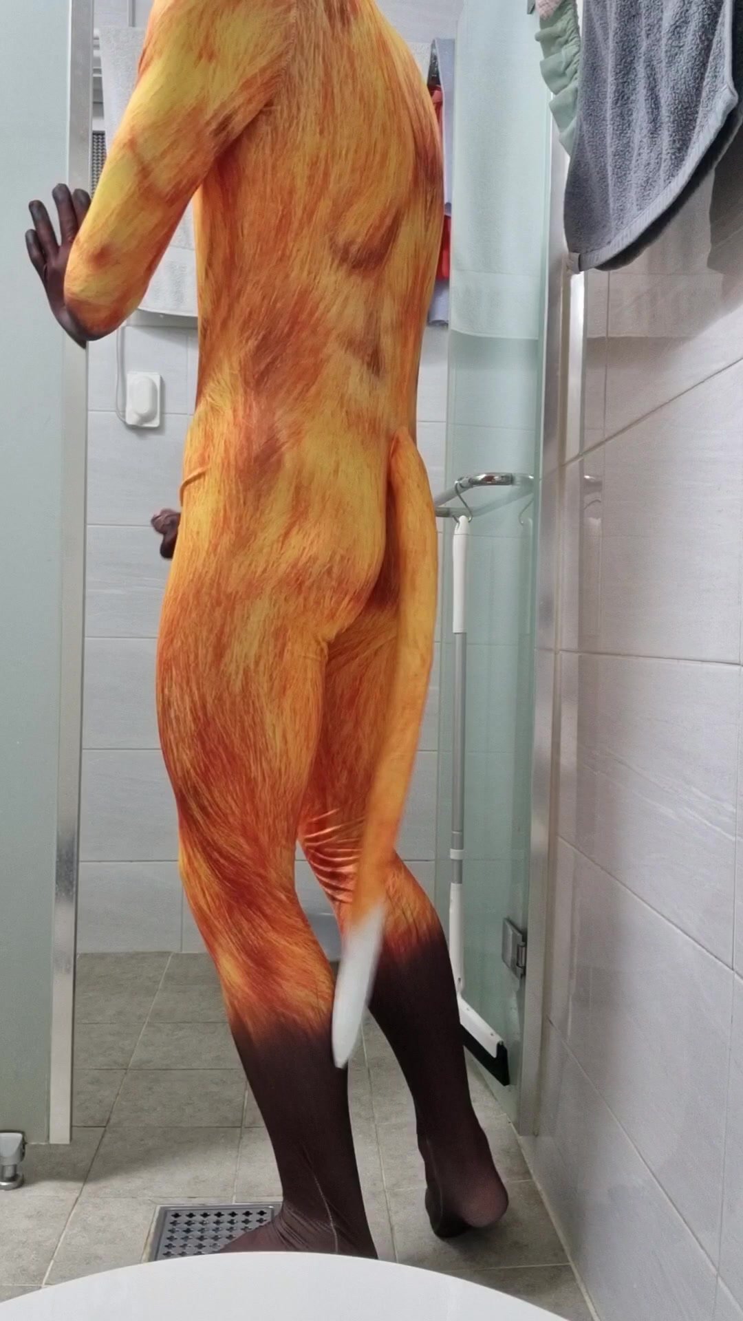Petsuit fox