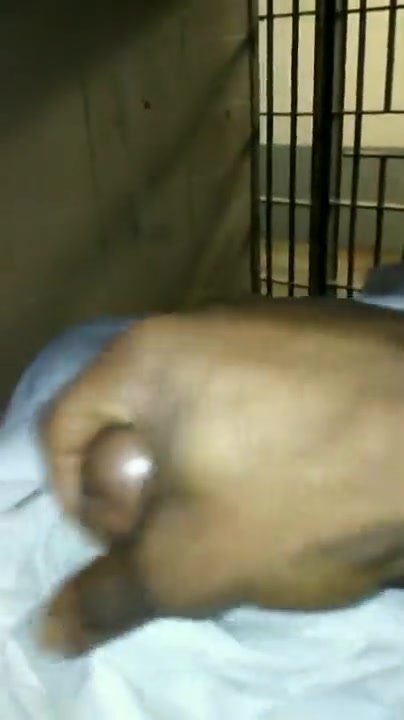 Jerking in cell