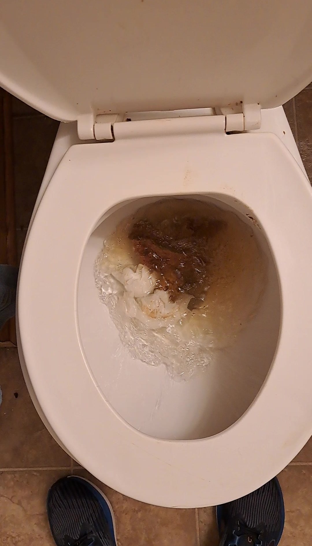 Big poop flush at grandpa's