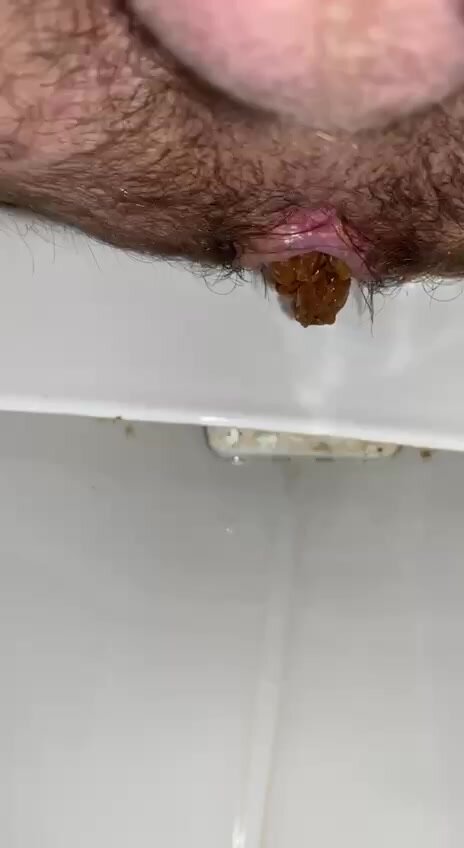 Poopilation - video 4