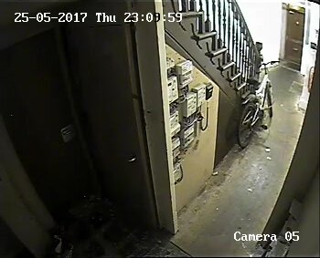 Cctv catches woman pissing in hallway
