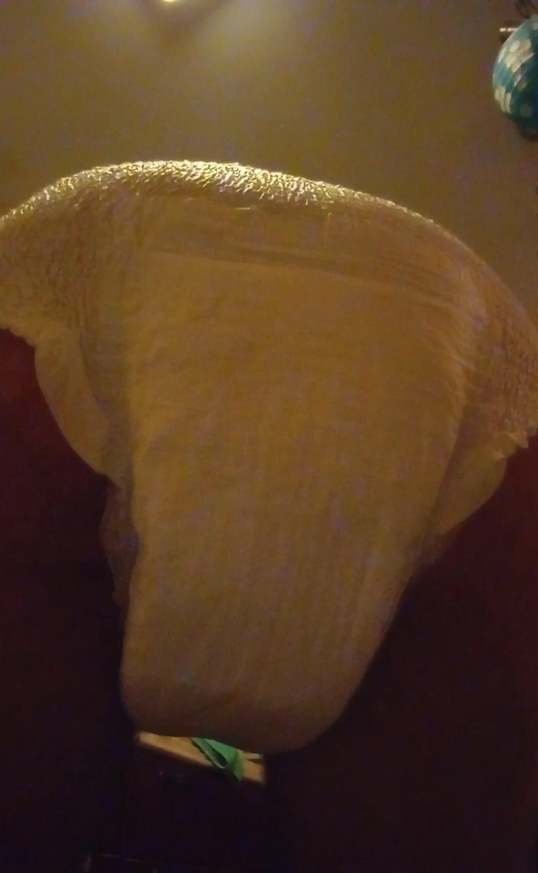 Laxative diaper mess - video 2
