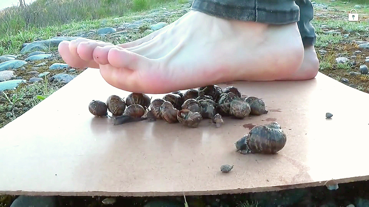 Male crush barefoot snails