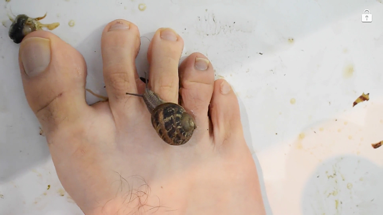 Male feet crush snails preview