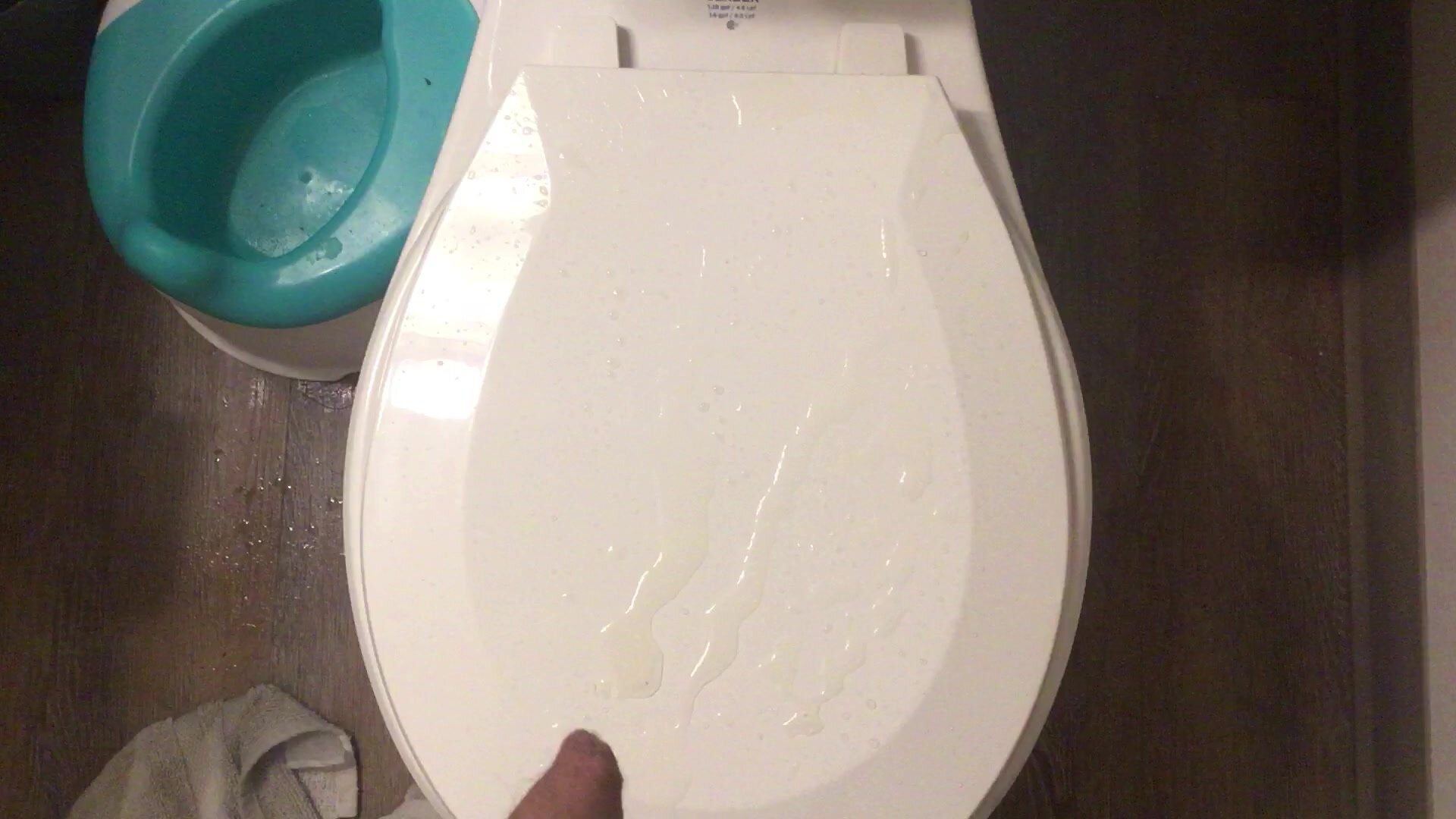 Peeing on the Toilet Seat