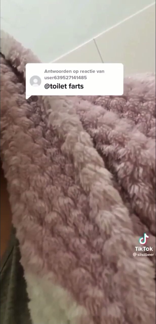 Short toilet fart comp