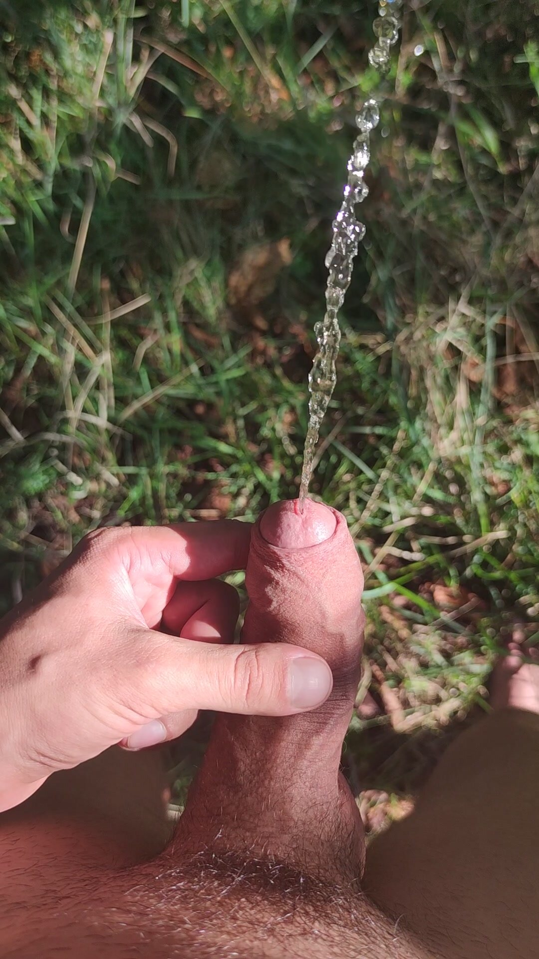 Limp dick pissing in the nature