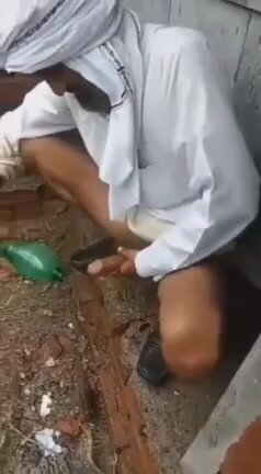 Old man washing his hard cock