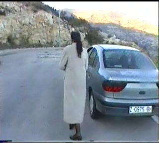 Mature nympho fucked on the road